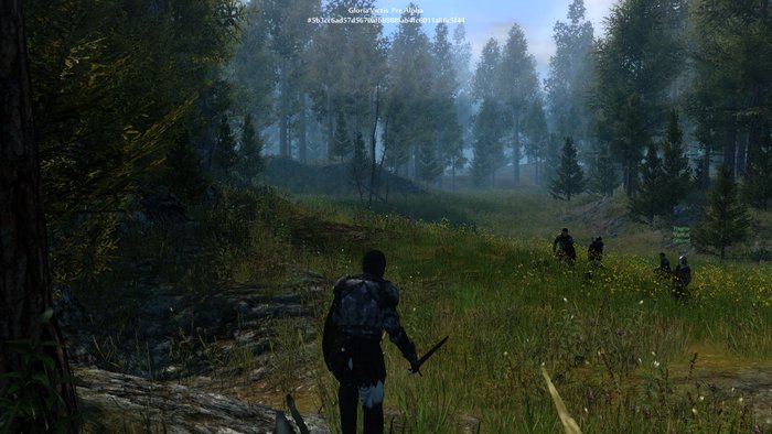 gloria-victis-screeny-8_17643.jpg
