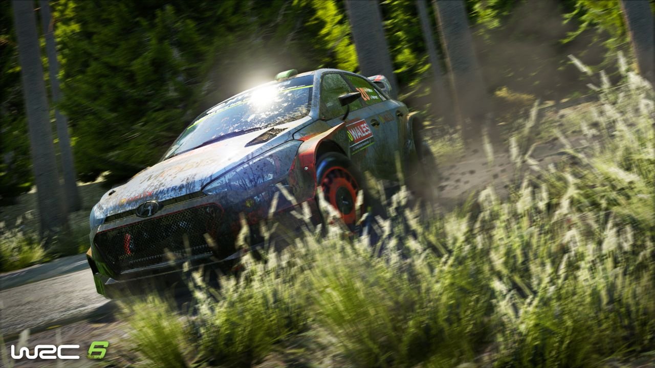 WRC 6 screen 2_177mz.jpg