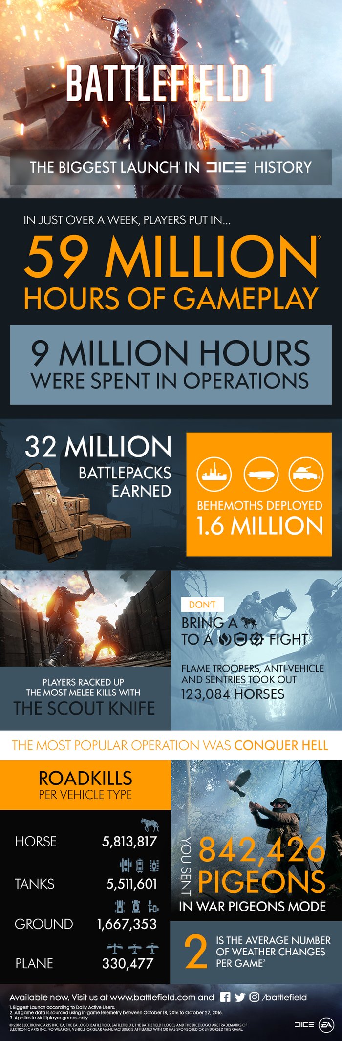 bf-1-infografika_177na.jpg