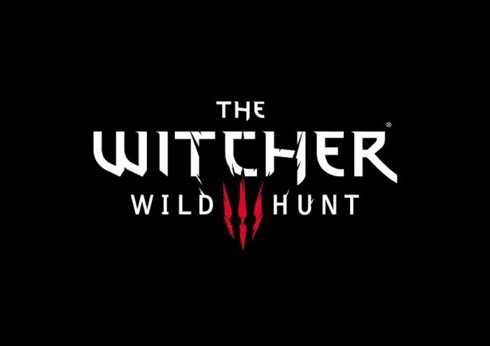 witcher-wild-hunt_176er.jpg