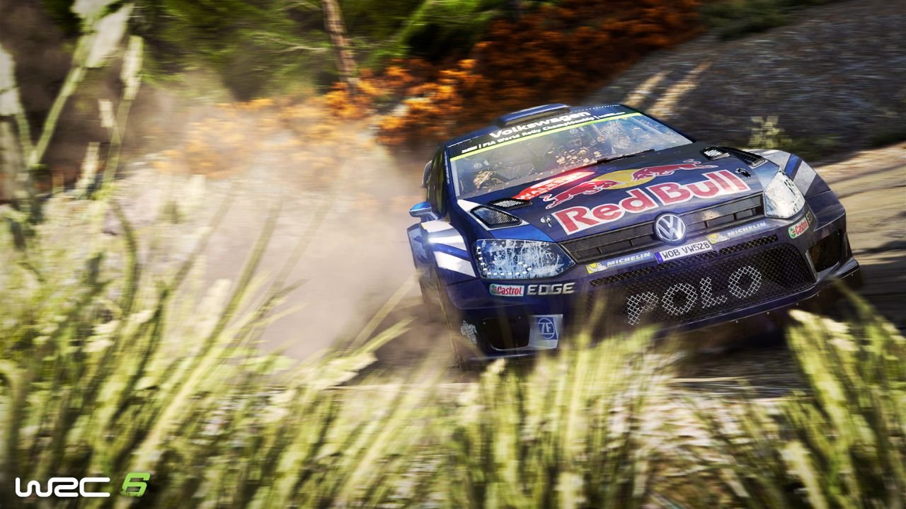 WRC 6 screen 3_177mz.jpg