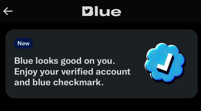 Twitter Blue