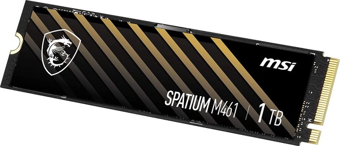MSI Spatium M461 1 TB