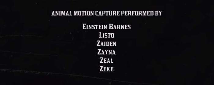 Red Dead Redemption 2, napisy końcowe, udział zwierząt w Motion Capture (Einstein Barnes)