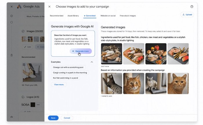 Google Performance Max