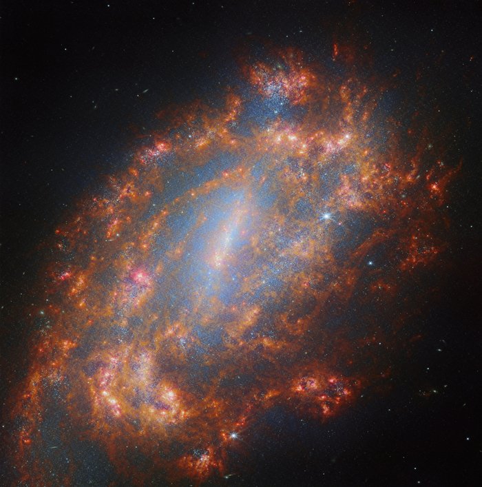 NGC 1559, ESA/Webb, NASA & CSA, A. Leroy, J. Lee and the PHANGS Team
