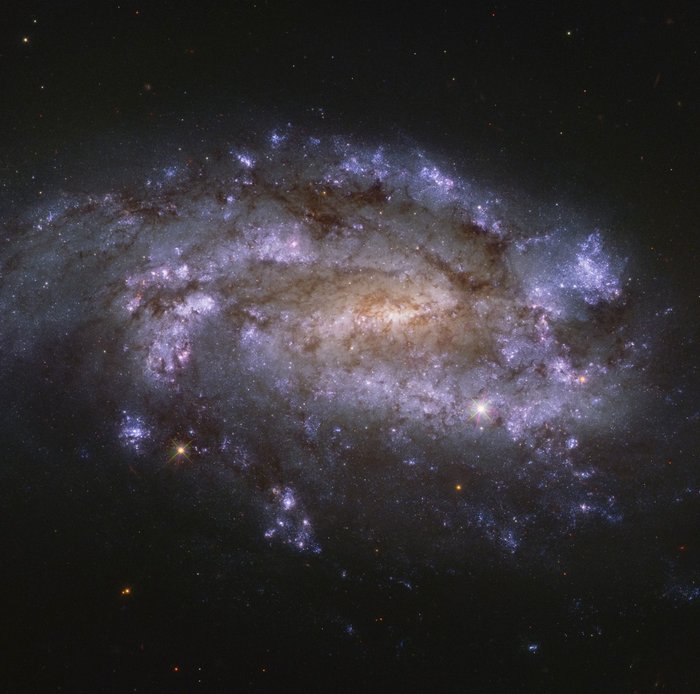 NGC 1559, Judy Schmidt, CC BY 2.0 DEED