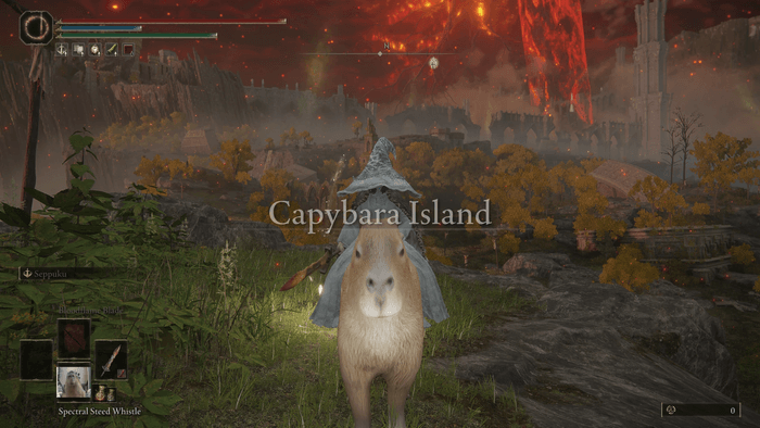 Elden Ring: Capybara Island