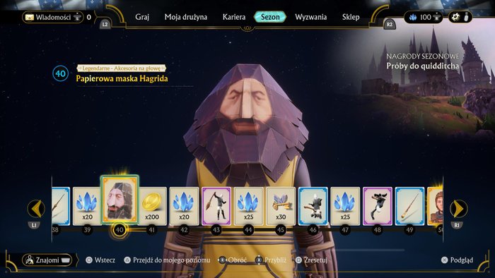 Harry Potter: Mistrzowie quidditcha