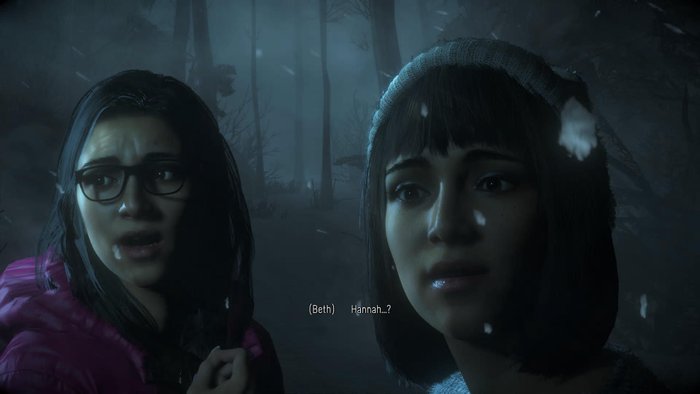 Until Dawn (2015)