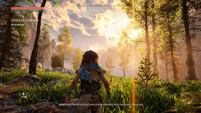 Horizon Zero Dawn Remastered