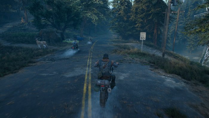 Days Gone