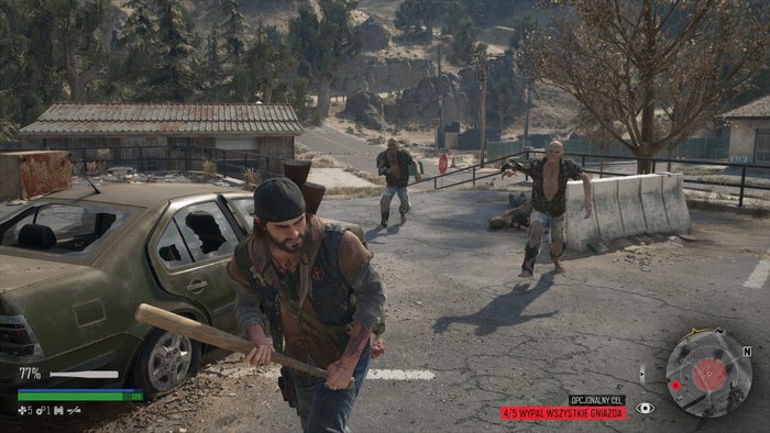 Days Gone