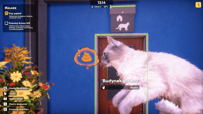 Animal Shelter 2