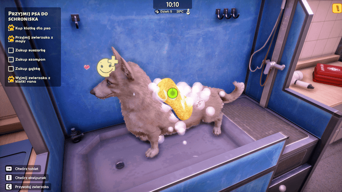 Animal Shelter 2